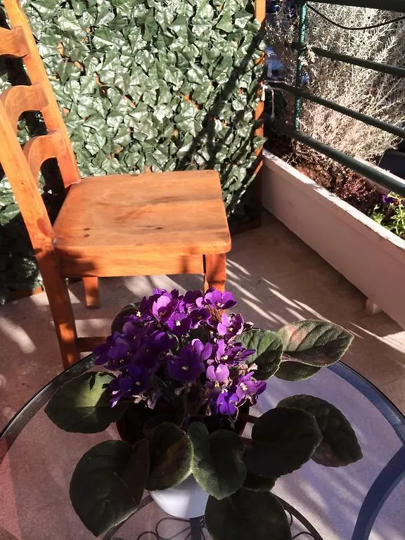 Bed & Breakfast Shelisa B&B Rome