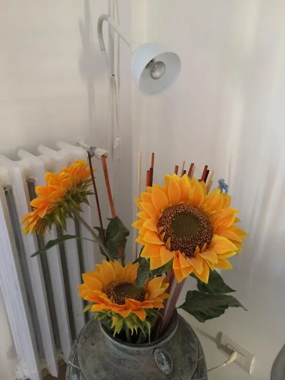 Shelisa B&B 3*, Rome Italy